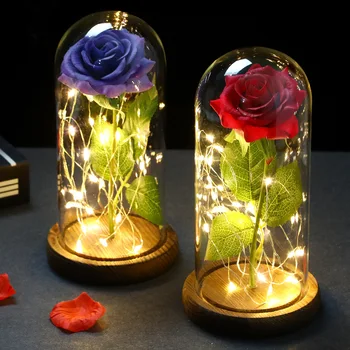 Rožu Eternelle LED Valentīna Diena Galaxy 24K Zelta Foliju, ar Ziedu Pasaku String Gaismas Dome Meiteni Valentīna Diena Dāvanu